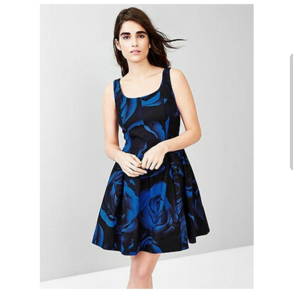 GAP Floral Tank Fit & Flare Dress Size 4
